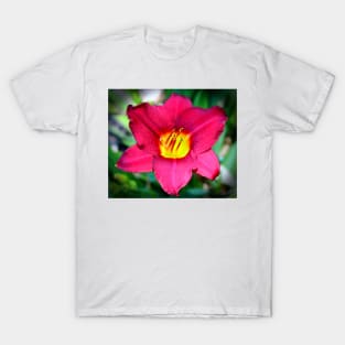 Vibrant Red Lily T-Shirt